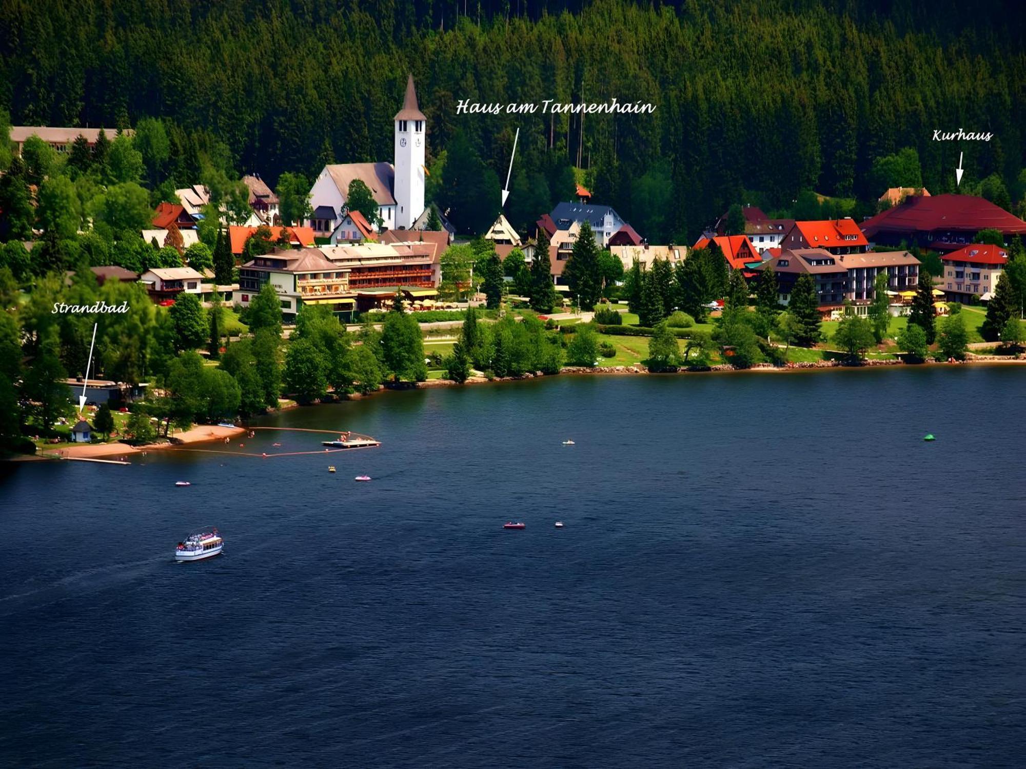 Haus Am Tannenhain Titisee-Neustadt Exterior photo