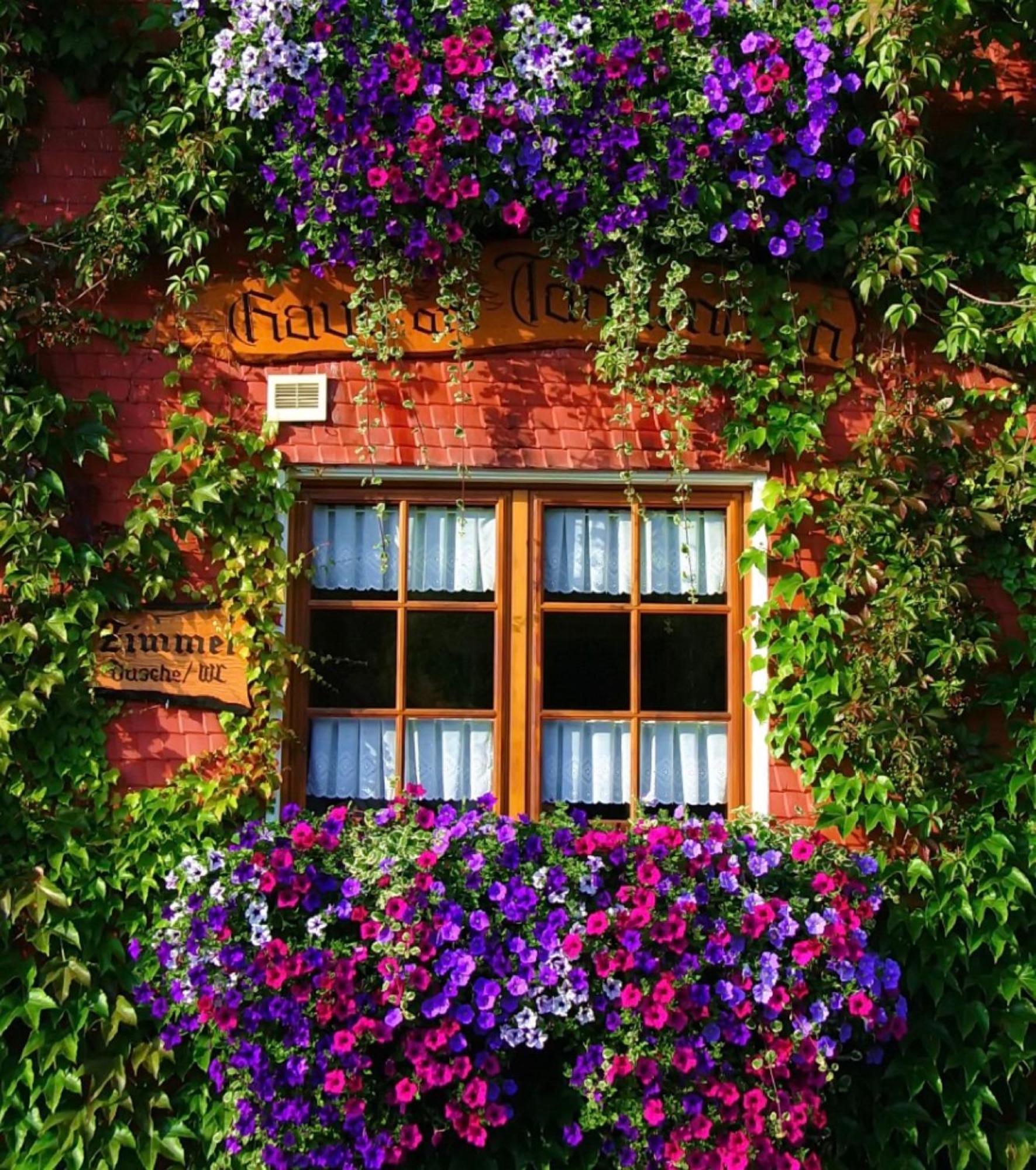 Haus Am Tannenhain Titisee-Neustadt Exterior photo